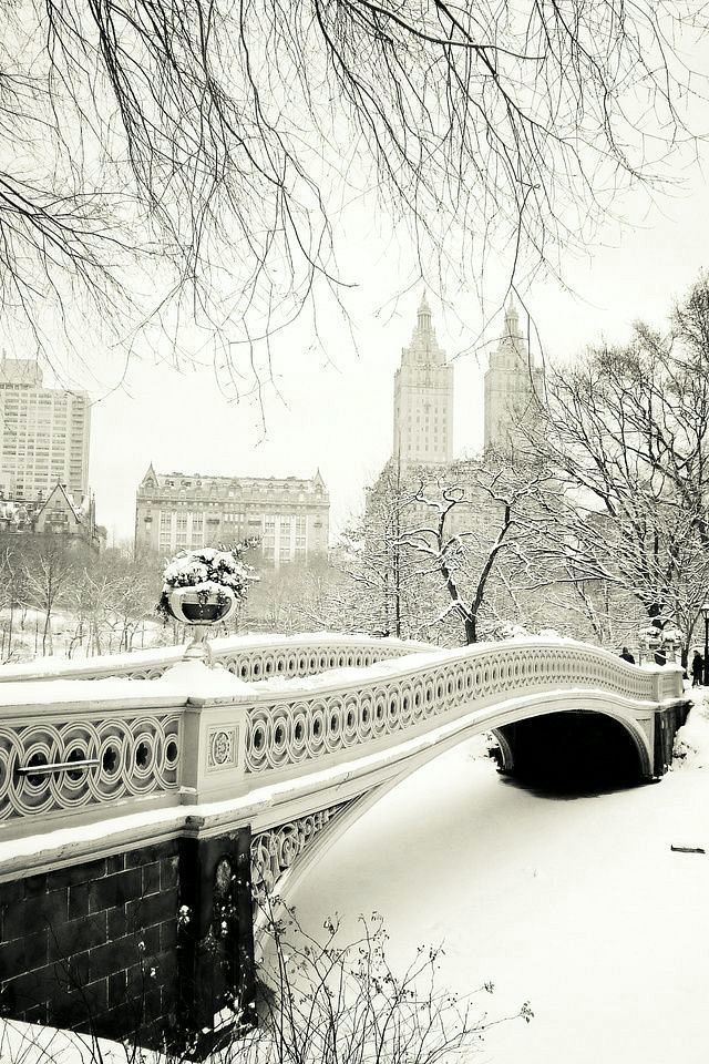 winter wonderland Central Park