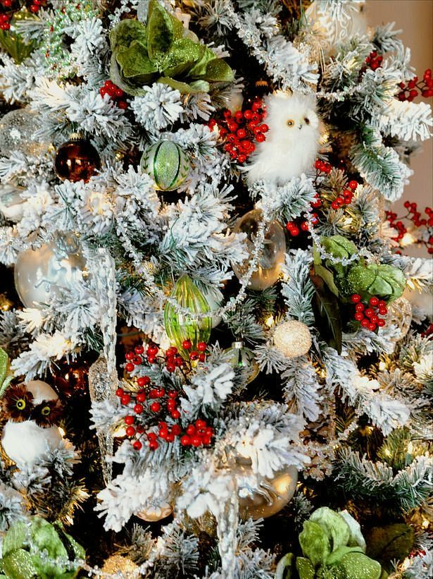 red and green christmas trees