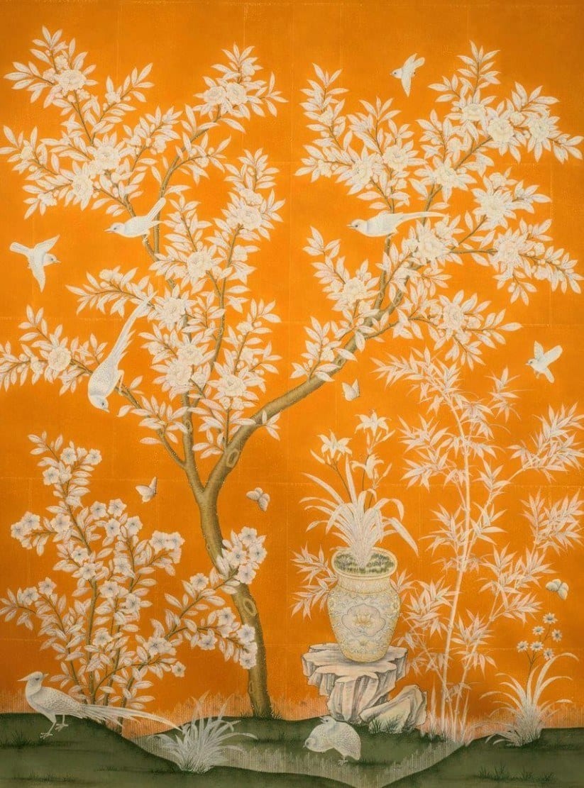 gracie-orange-wallpaper
