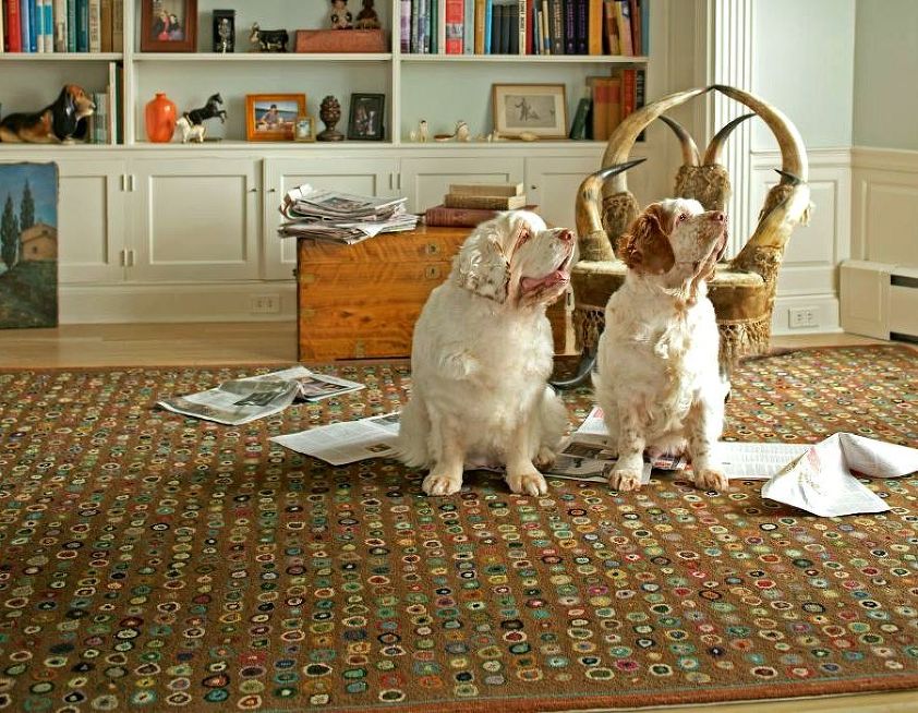 What Three Fibers To Avoid For Rugs and Carpets Laurel Home