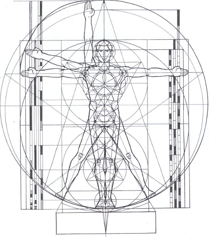 figure-5-the-vitruvian-man-cropped-and-erased-measurements-1
