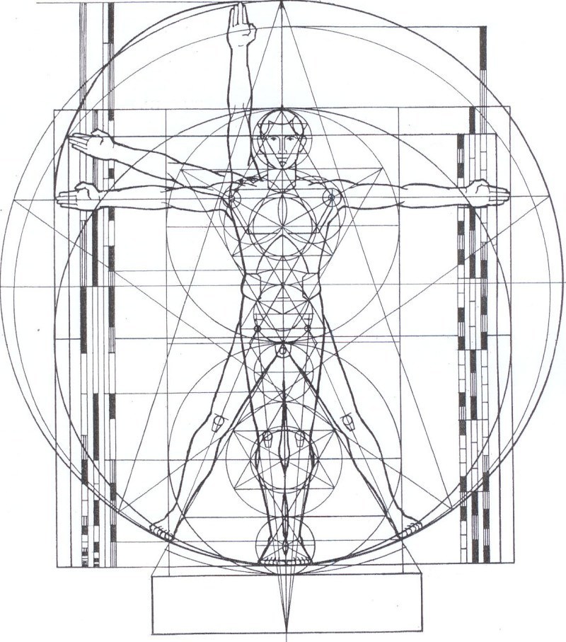 figure-5-the-vitruvian-man-cropped-and-erased-measurements-1