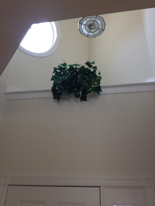 home-design-ledge-lonely-plant