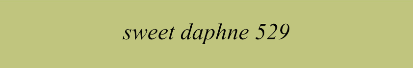 3-sweet-daphne 529 3