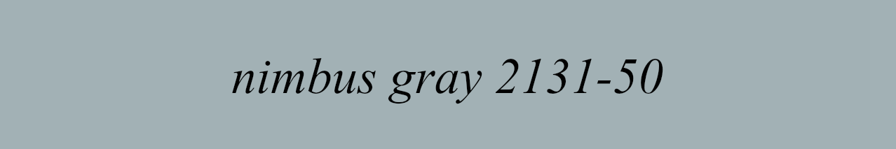 Nimbus Gray 2131-15