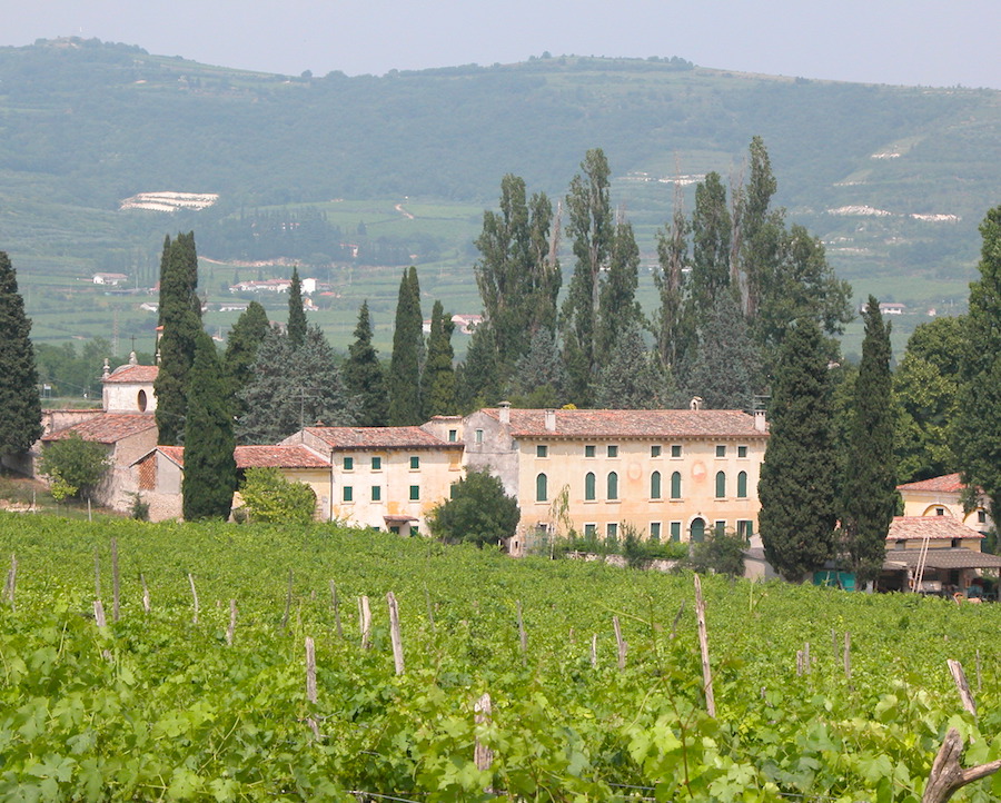 Sartori-Vineyards-and-House