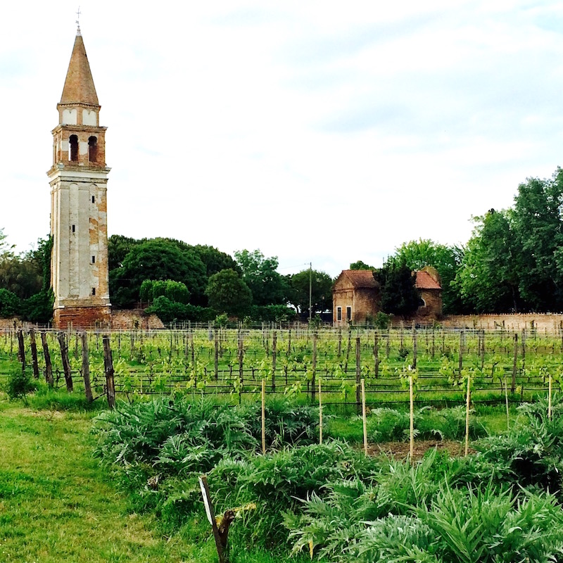 venissa vineyard tower italian vineyards