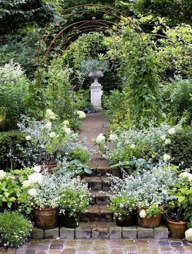 exquisite garden with potted plants