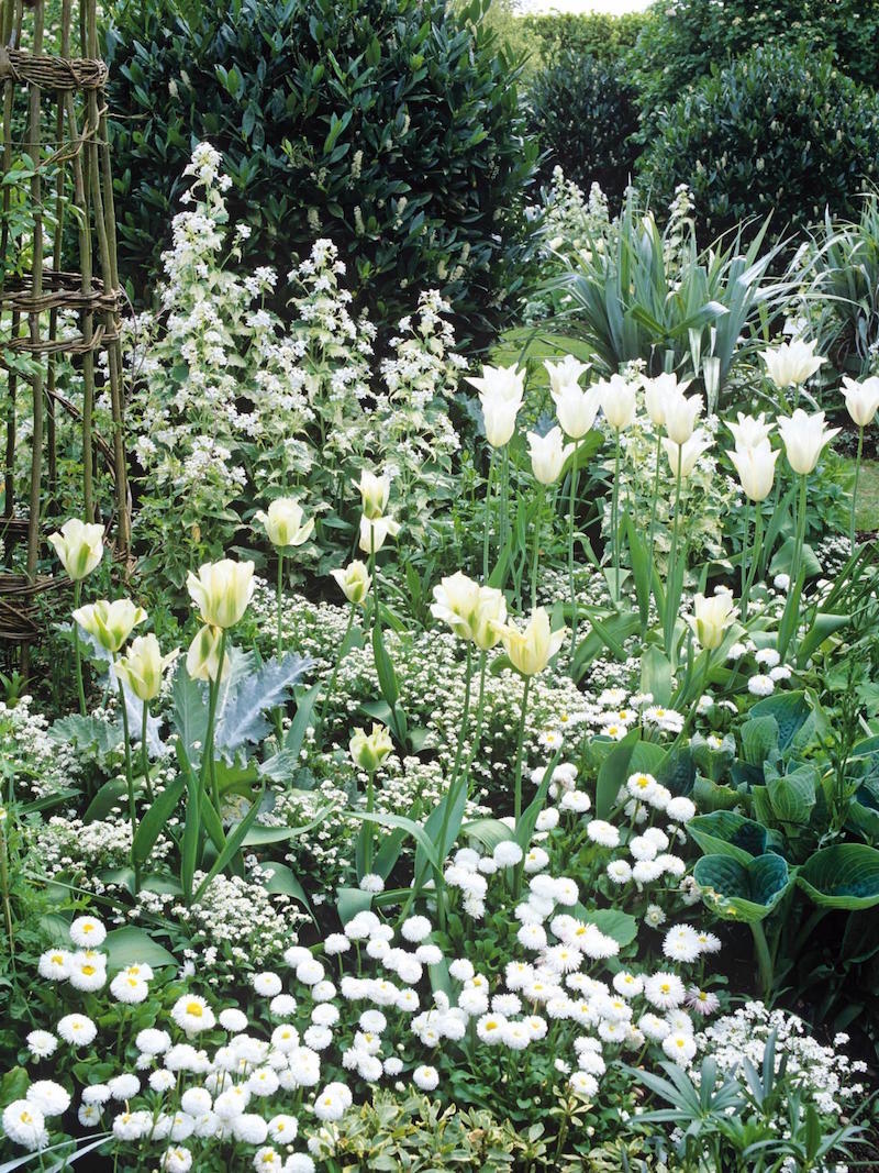 white garden via hgtvcom. exquisite gardens