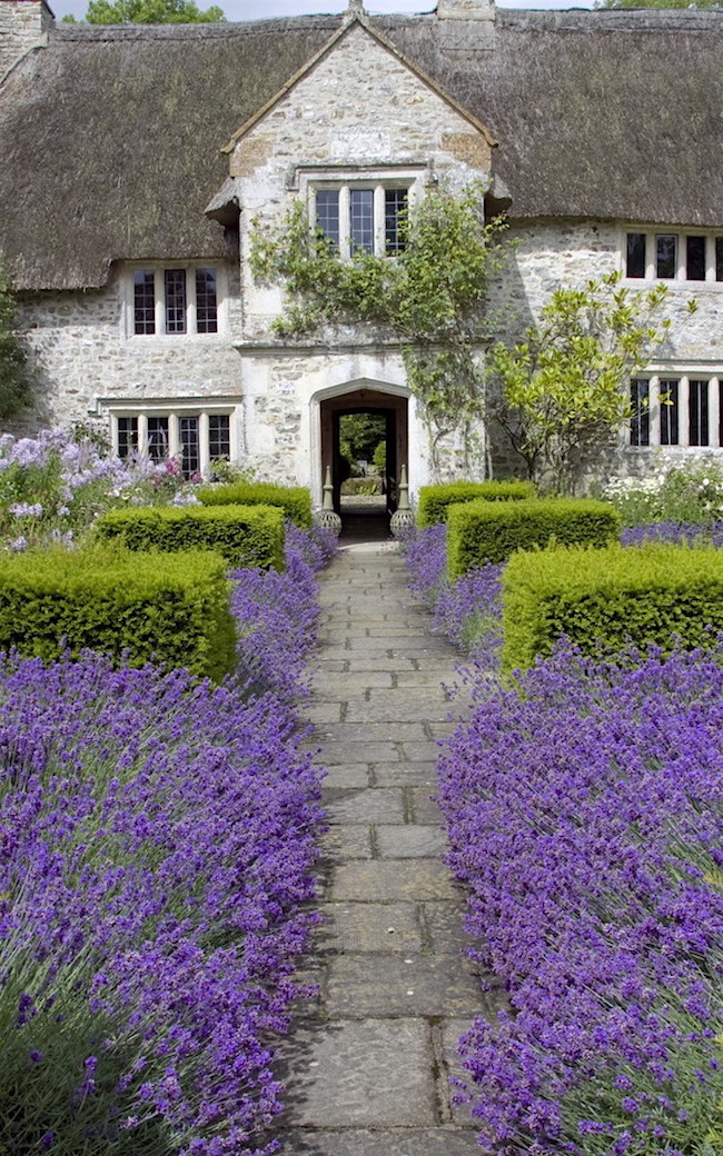 arne maynard 17th century farmhouse garden lavender