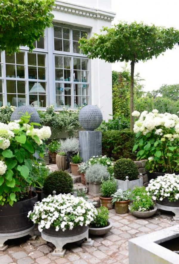 claus green white exquisite gardens