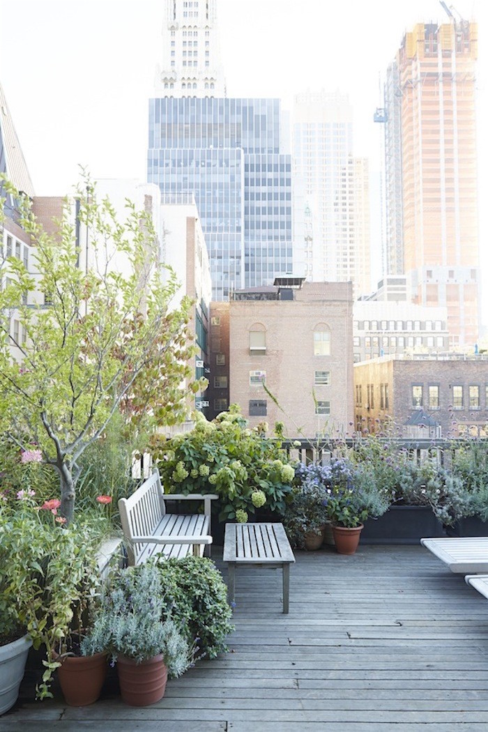 Rooftop Garden Source: Gardenista Balcony vs. Terrace