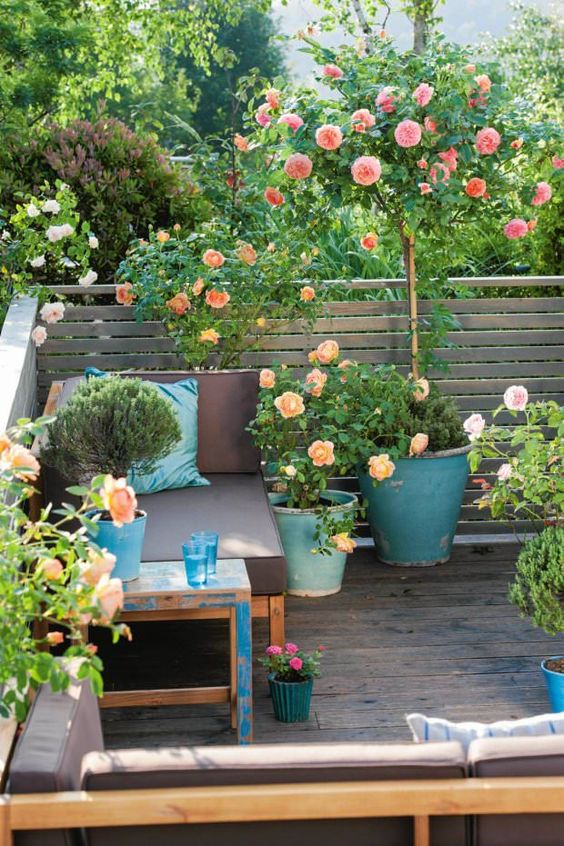 Gradina din balcon small balcony design ideas 2 laurel home Désign Coloré Balcon