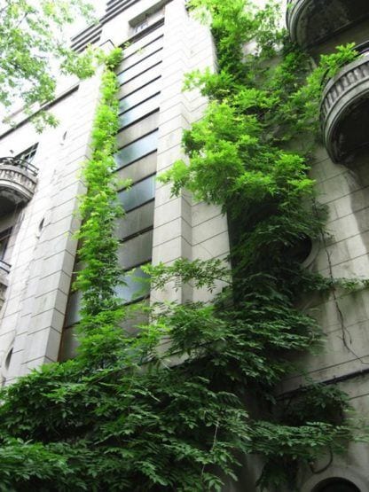 25 Seriously Jaw Dropping Urban Gardens - Laurel Home