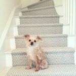 Stair Runners And The Huge Controversy Over Some Popular Fibers