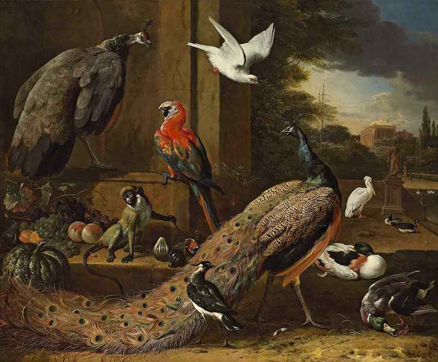 Fine art auctioned at Christie's Melchior de Hondecoeter A peacock, a peahen, a monkey and other birds on a terrace 
