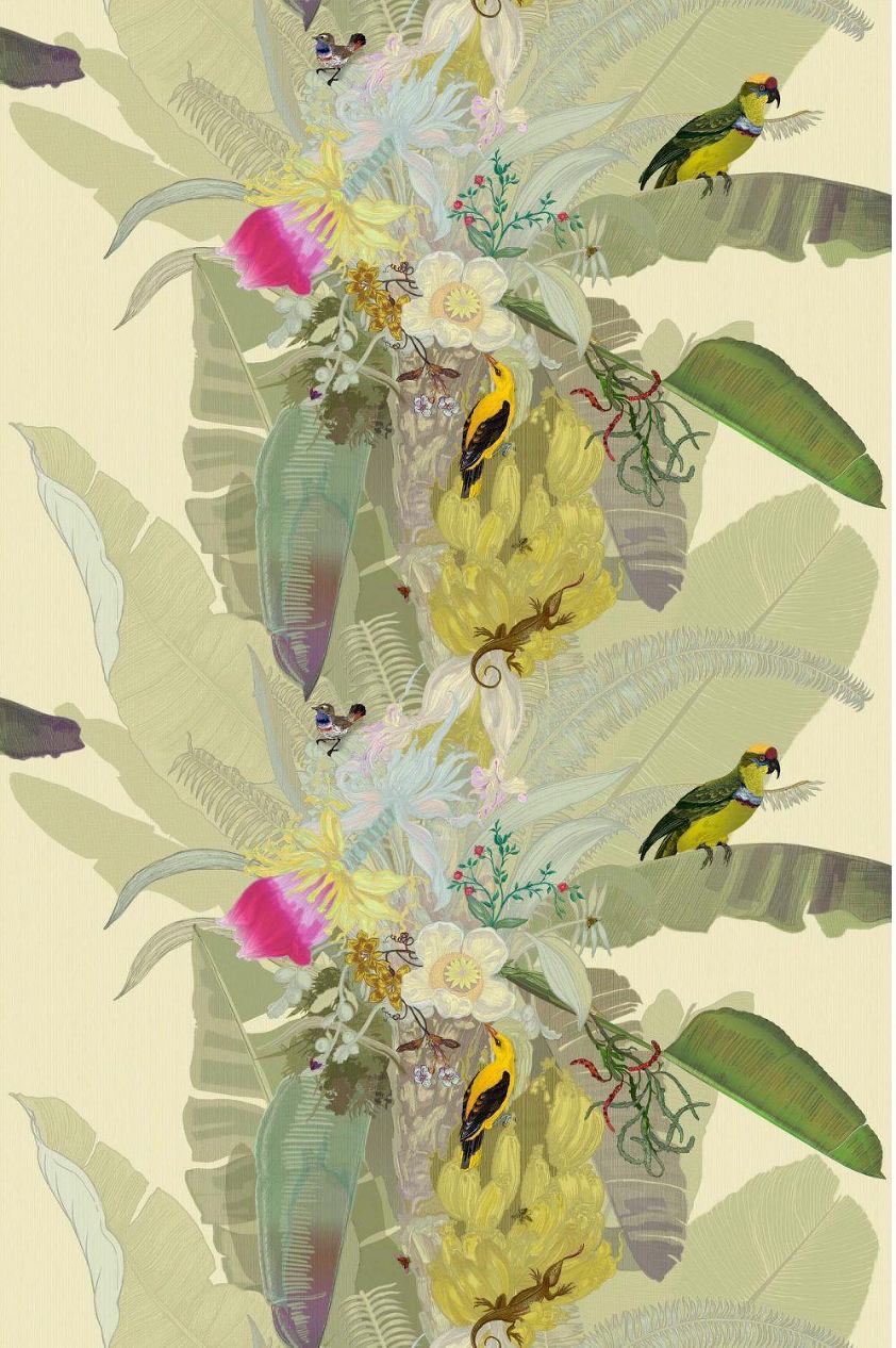a-wonderful-home-furnishings-vendor-for-wallpaper-and-fabric-timorous-beasties-love-birds-wallpaper-tropical-palm-wallpaper