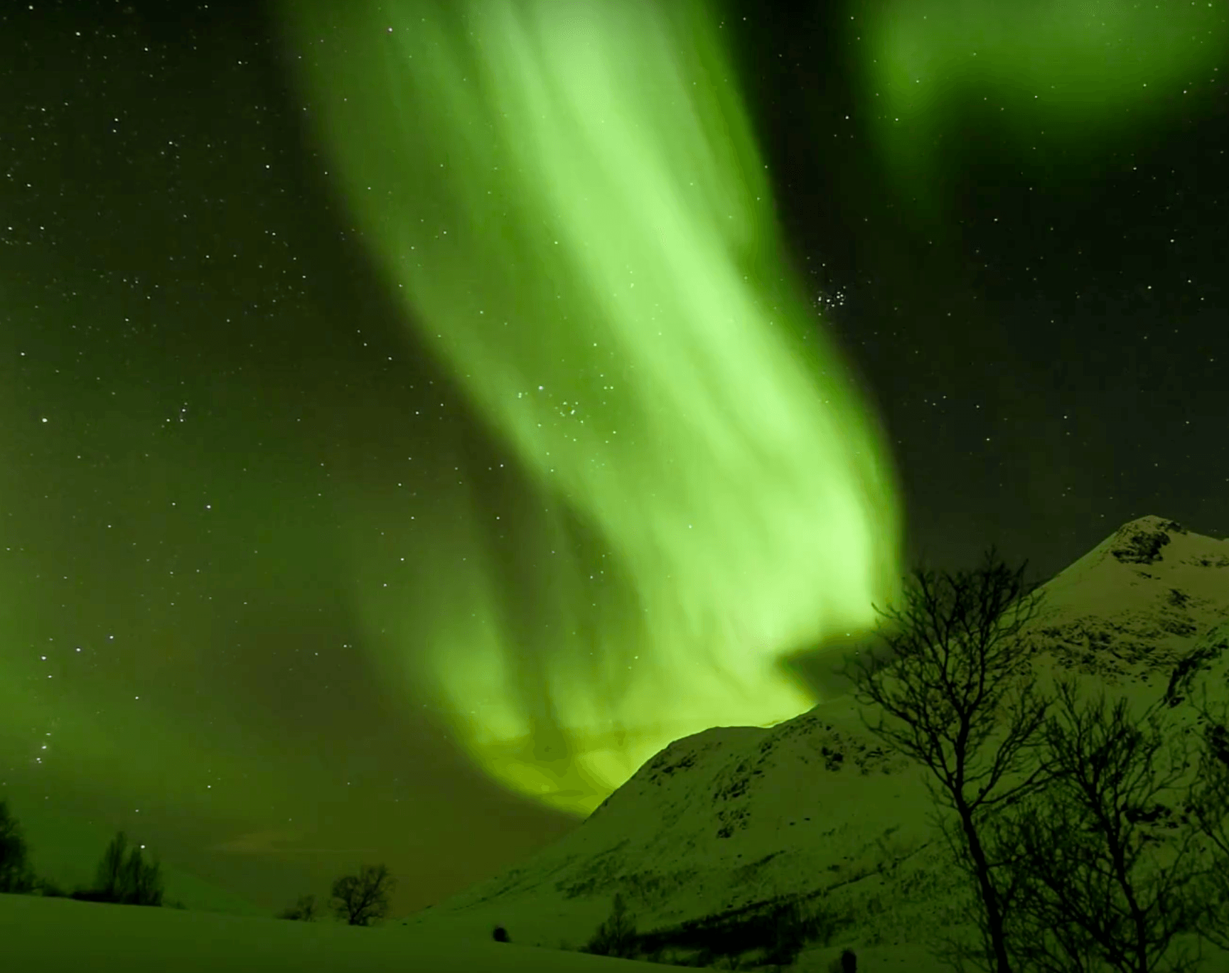 Svalbard Winter Northern Lights