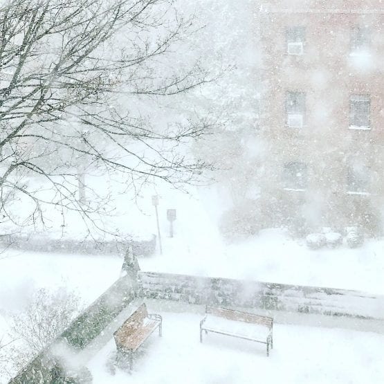 Is He Right? Are WhitePainted Walls Boring? Laurel Home