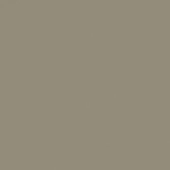 Gris Copley de Benjamin Moore HC-104