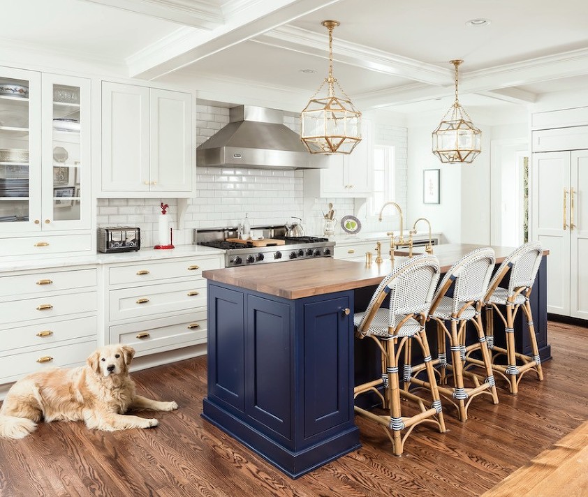 young family home remodel kitchen with cute doggie - kitchen renovation 