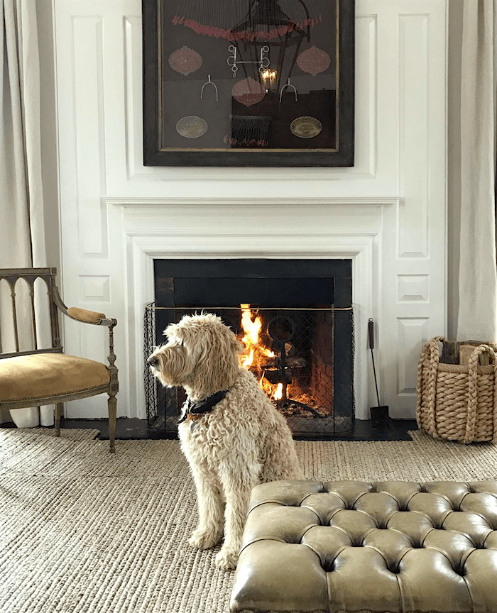 Steven Gambrel gorgeous fireplace mantel - living room - cute doggie, Sailor