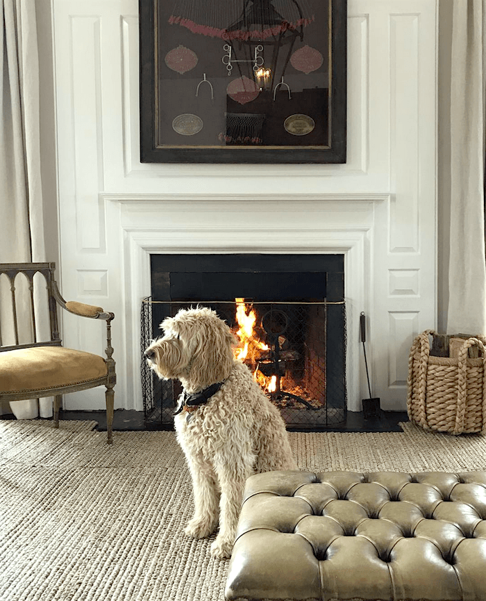 Steven Gambrel gorgeous fireplace mantel - living room - cute doggie, Sailor