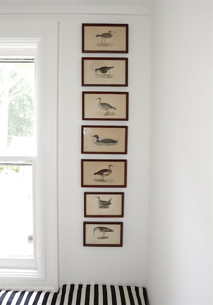  vintage - duck-geese prints