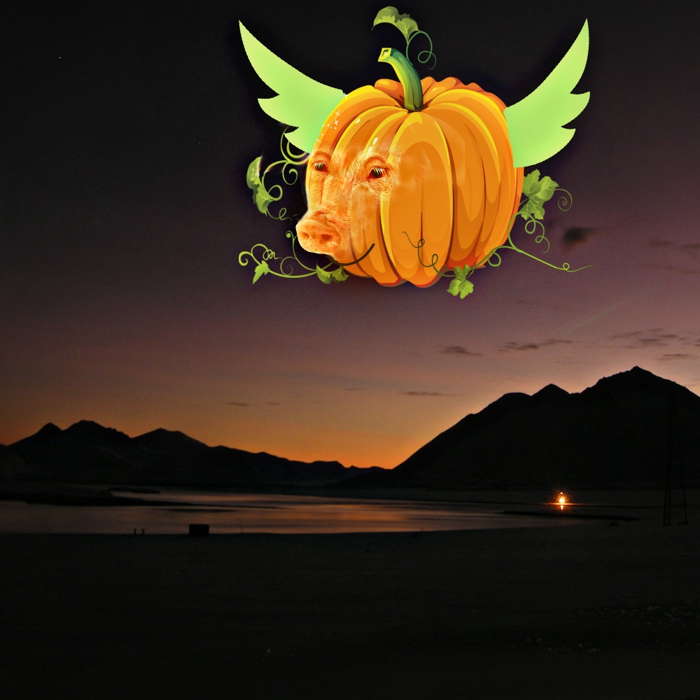 when pig-pumpkins fly over Norway you'll have your Christmas shopping done by Halloween - Labor Day Weekend 2018 Hot sales