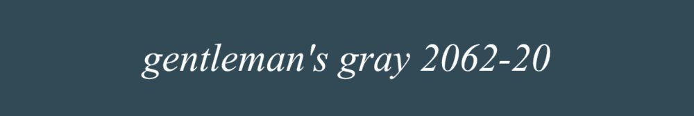 gentleman's gray 2062-20