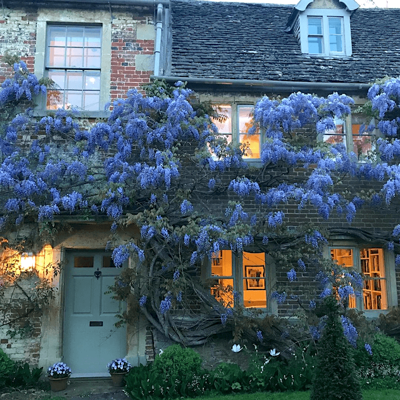 charlotte_annefidler on instagram - wisteria - English Country home