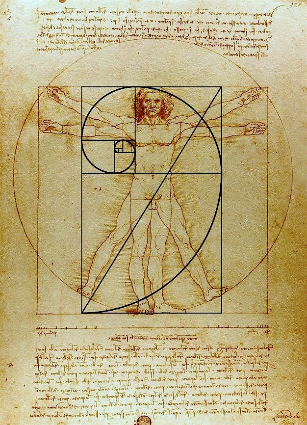Da Vinci - Vitruvian Man Golden ratio 1:1.618 - perfect architectural proportions - classical proportions