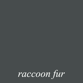 Benjamin Moore Raccoon Fur 2126-20