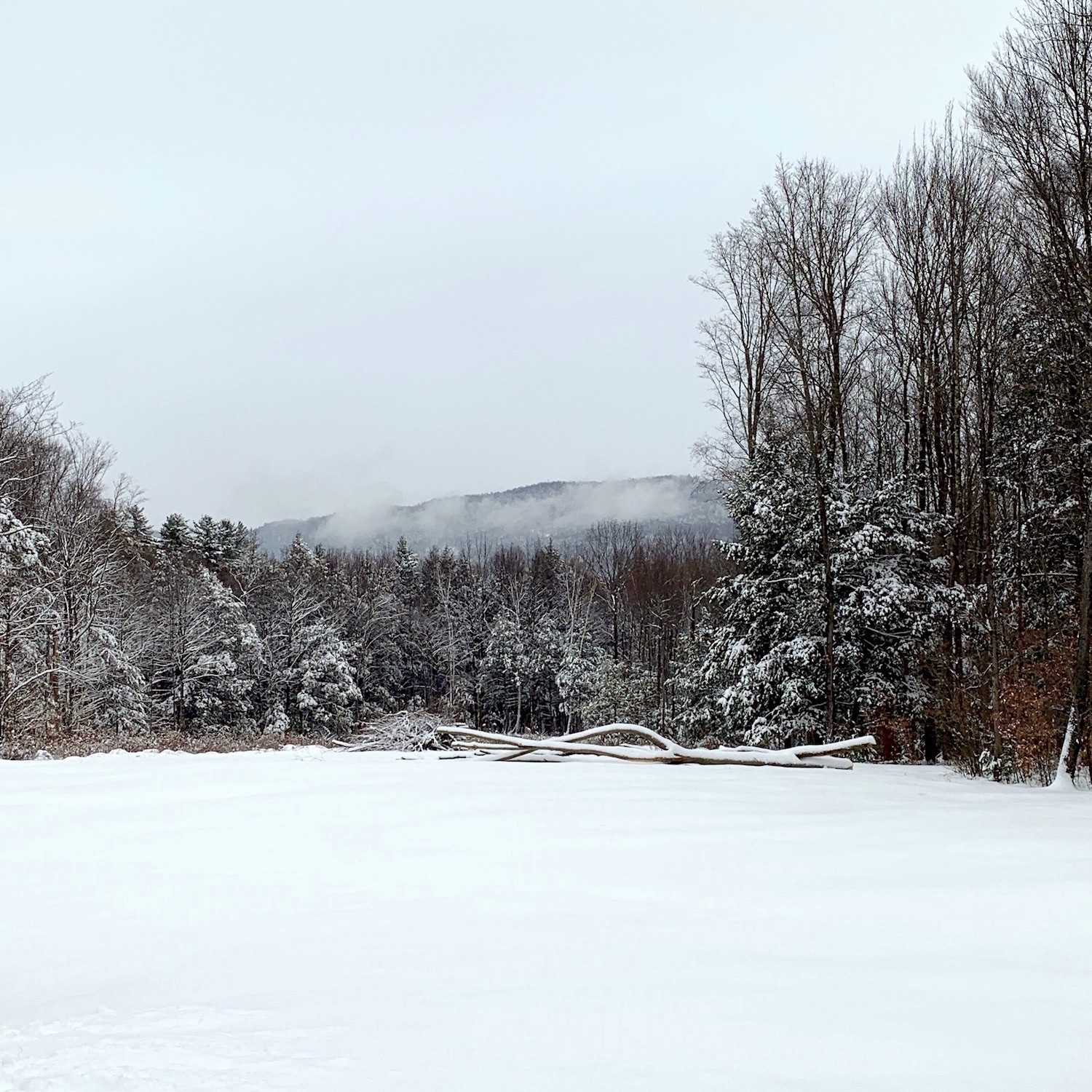 Adirondack Park I hate Winter - but it's beautiful - Disdain For Winter