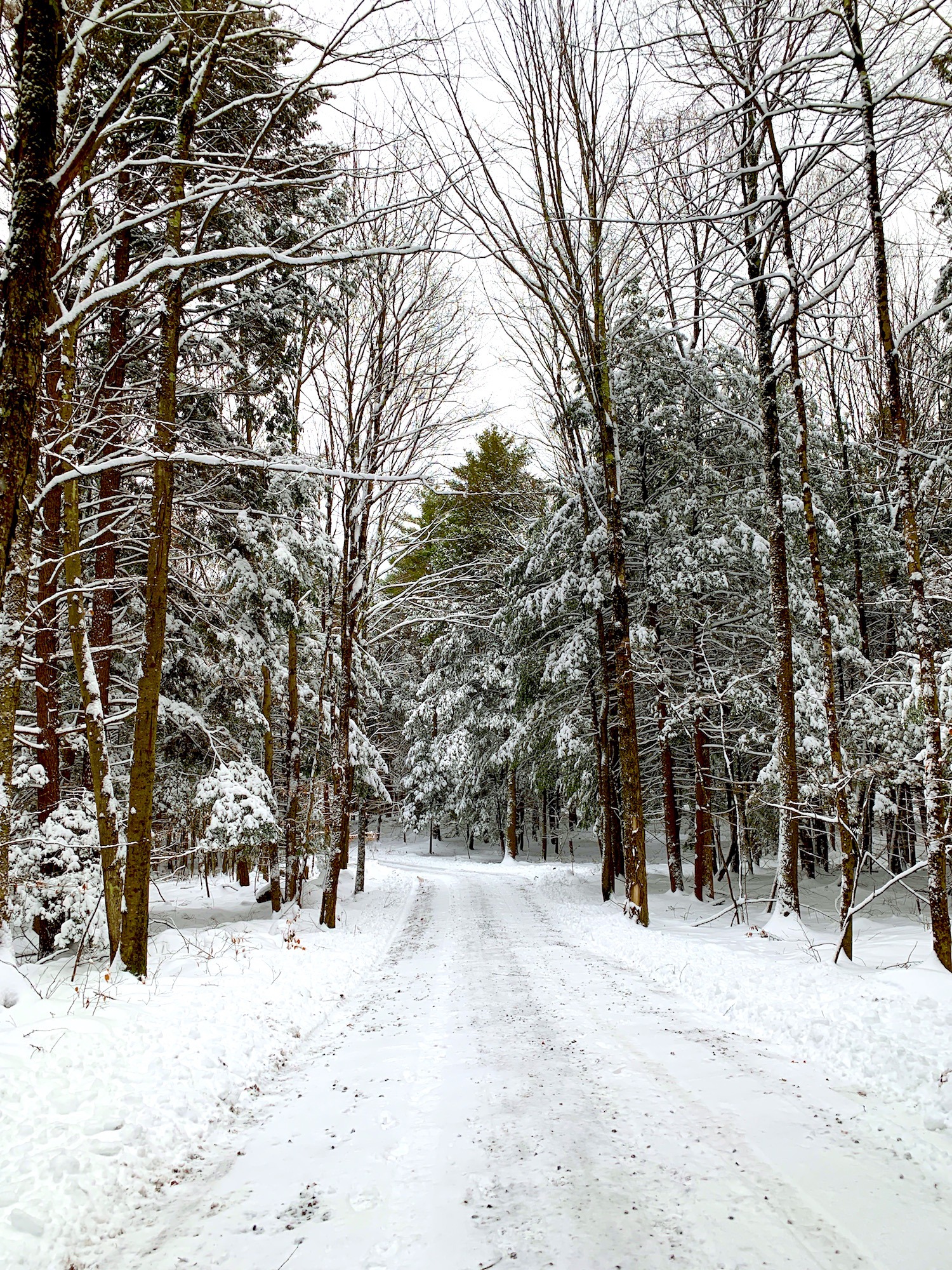 Snow Adirondack road - winter 2019