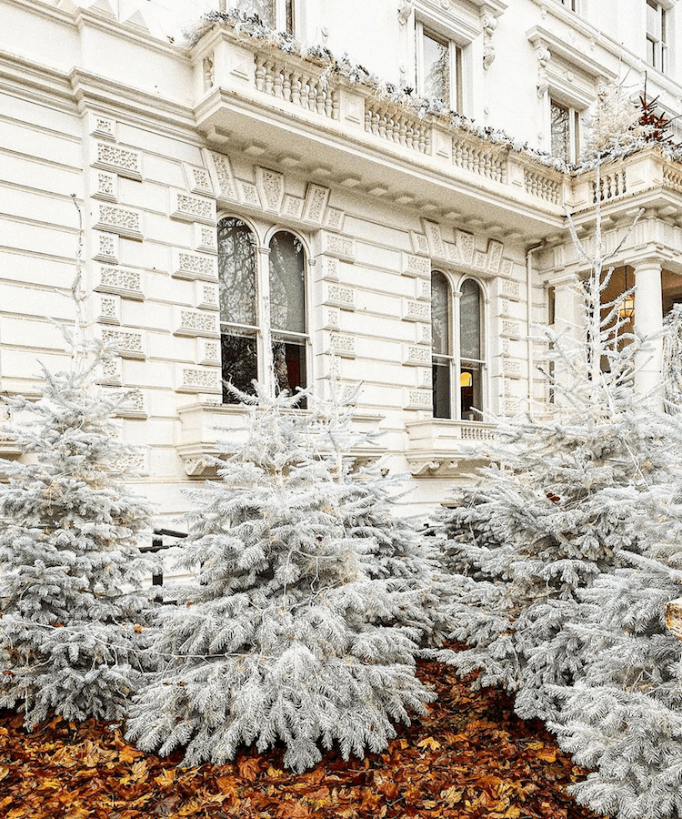 jm_mcphee - magical white Christmas trees - London