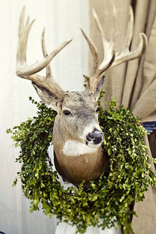 magical Christmas decor - buck wearing boxwood wreath