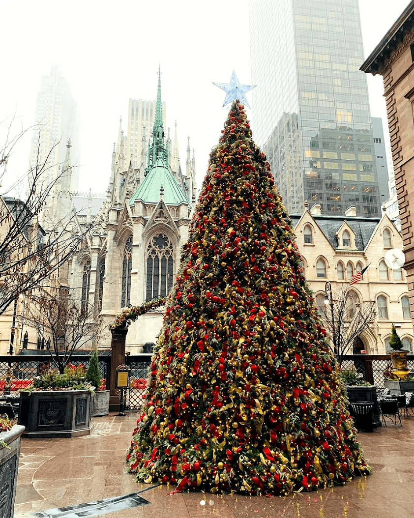 nyc_morgan - Lotte New York Palace - magical Christmas decor