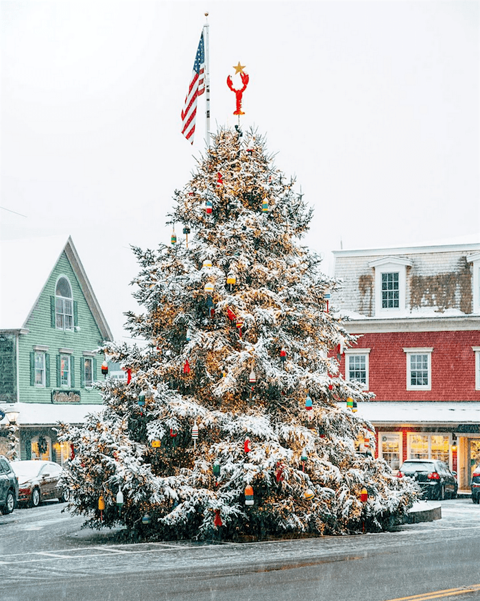via @pjhavel - Kennebunkport Maine - magical Christmas decor - outdoor Christmas tree