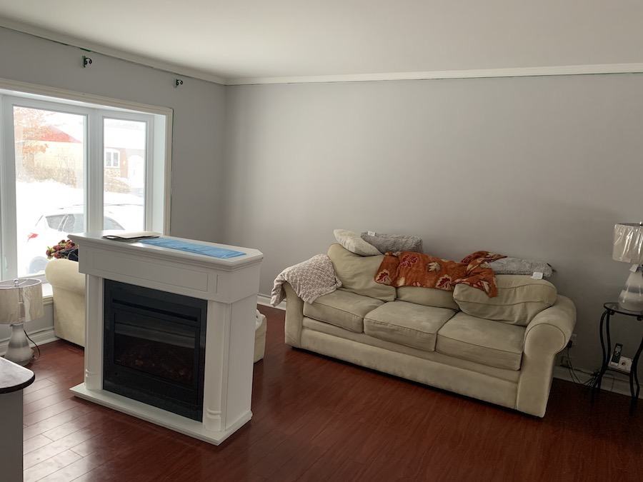 Benjamin Moore Barren Plain - laminate floors living room