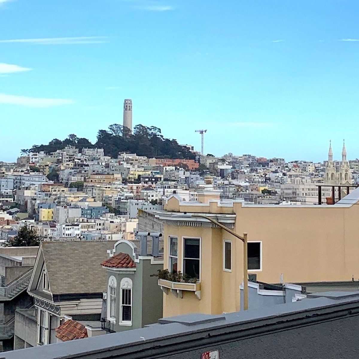 Telegraph Hill San Francisco - Laurel Home