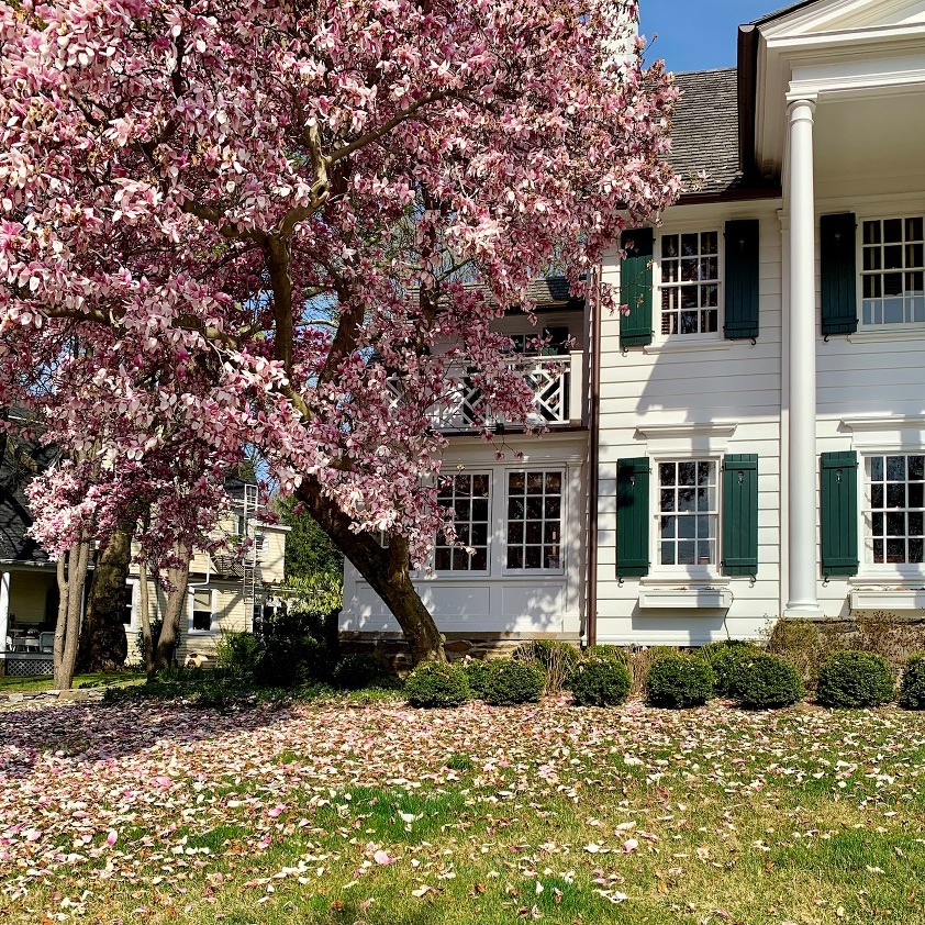 Bronxville springtime 2020 - how to paint a room