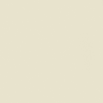 Benjamin Moore Lancaster Whitewash HC-174