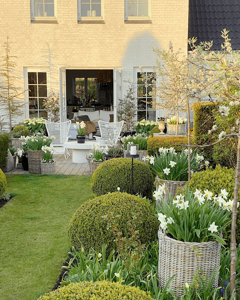 @gncgarden on instagram - gorgeous - garden - outdoor living - plants - patio