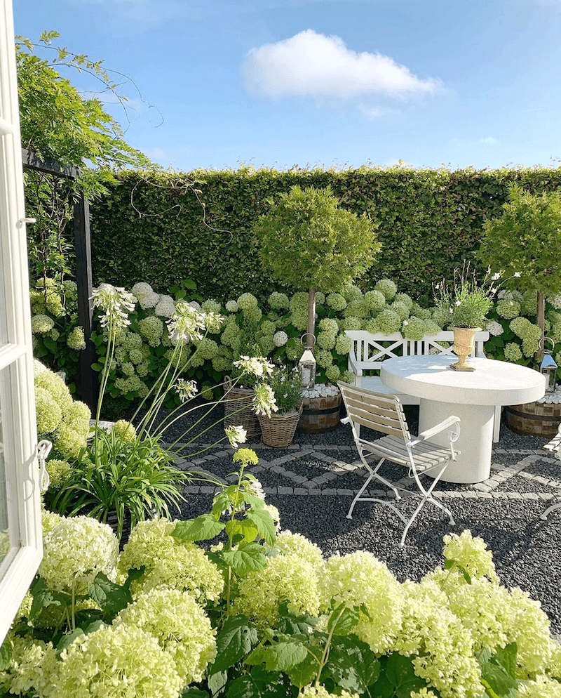 @gncgarden on instagram - gorgeous - garden - outdoor living - table - chair hydrangeas