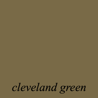 Benjamin Moore cleveland green 1525 - neutral paint colors