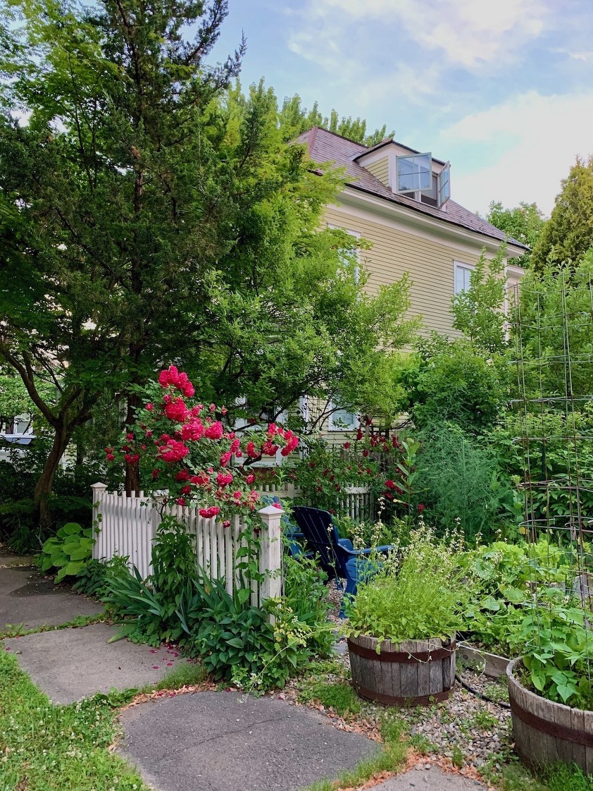 Lovely garden - Northampton, MA
