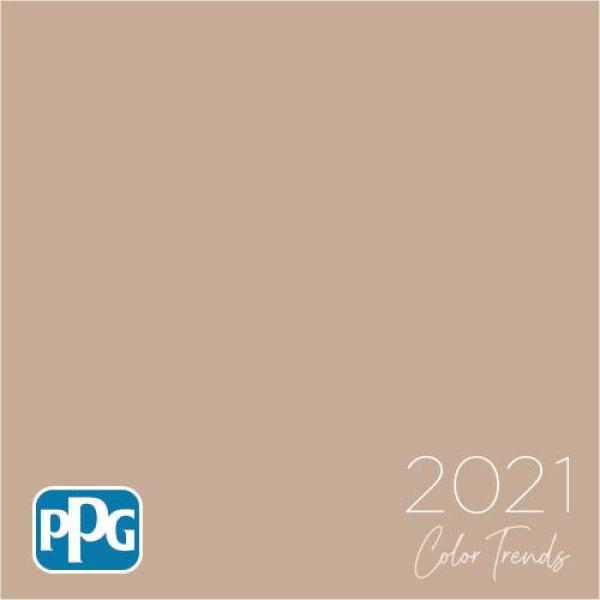 PPG - Trascend - The color of cat gromitz - color of the year 2021