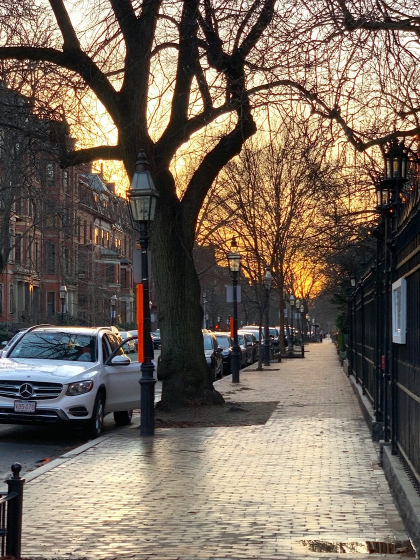 Magical Christmas Lights In Boston's Beacon Hill Laurel Home