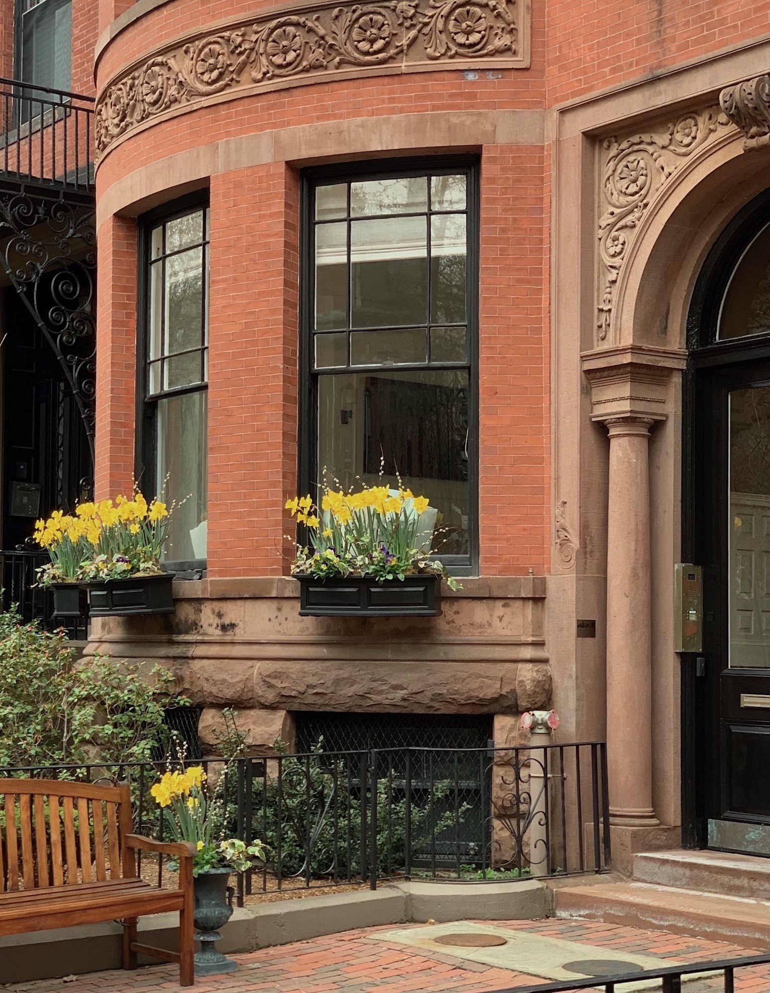 Color Palettes From Nature - Springtime in Boston - Marlborough St - yellow daffodils